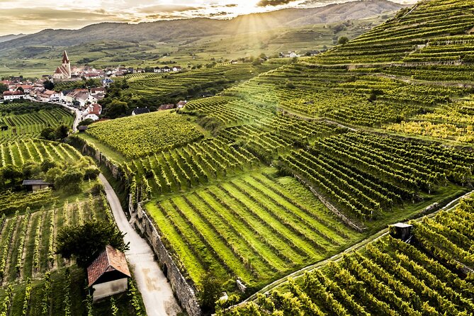 3 Castles & Wine Private Tour in Wachau Valley (incl. Melk Abbey) - Price and Value: What $416.50 Buys You in Real Terms