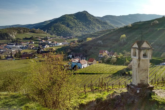 3-Hour Private Hiking Tour to historic places around Spitz in Wachau Valley - The Spitz vineyard loop: Red Gate views and the Danube panorama