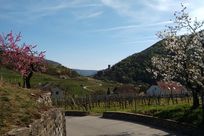 3-Hour Private Hiking Tour to historic places around Spitz in Wachau Valley - Getting from Vienna: Am Hbf start, roundtrip transport, and pacing your day
