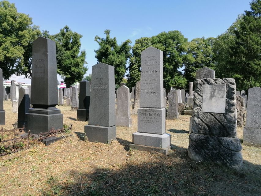 3-Hour Walking Tour of Vienna Central Cemetery - When this tour is the right fit (and when it isn’t)