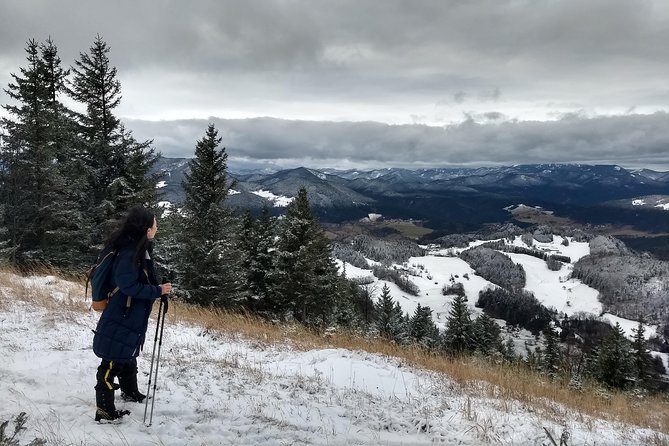 4-Hour Private Alpine Great George at High Wall Mountain from Vienna - Quick hits on Hohe Wand’s Great Gorge