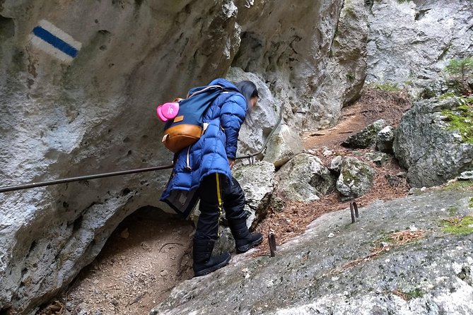 4-Hour Private Alpine Great George at High Wall Mountain from Vienna - From Vienna Hauptbahnhof to Hohe Wand, with zero planning pain