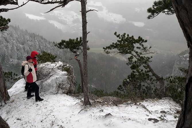 4-Hour Private Alpine Great George at High Wall Mountain from Vienna - The value question: $277.87 per person and what you’re actually paying for