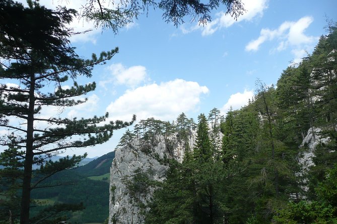 4-Hour Private Alpine Great George at High Wall Mountain from Vienna - Great Gorge terrain: ladders, rock formations, and that cave stop