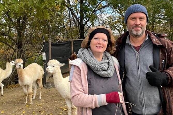 Alpaca and llama hike Moedling near Vienna - Why this alpaca and llama hike in Mödling is such a good idea