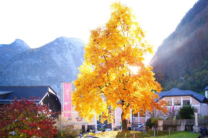 Alpine Hallstatt Day Trip from Vienna incl. Admont Abbey Visit - Price and value: is $167.75 worth it?