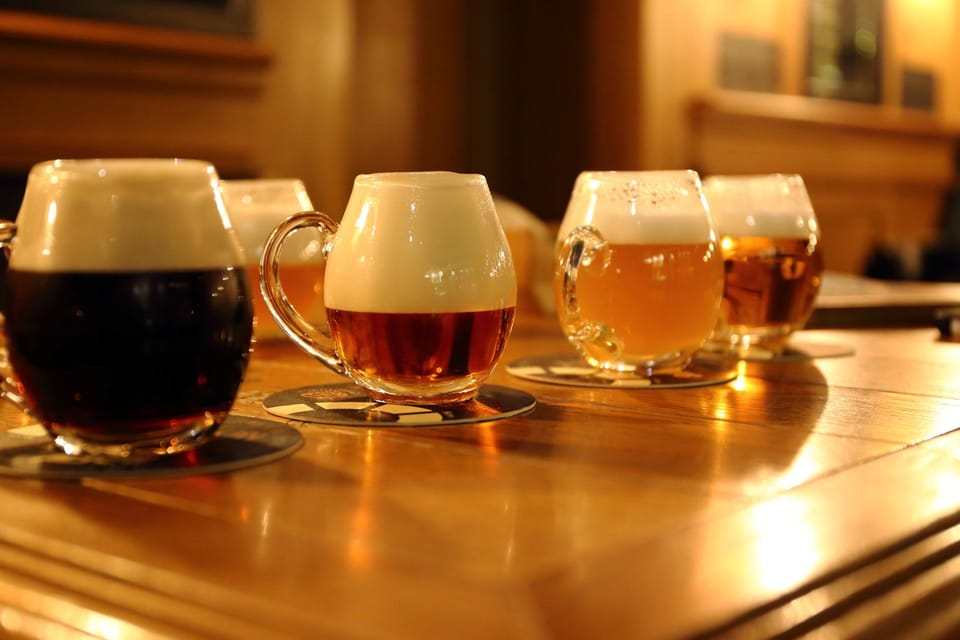 Austrian Beer Tasting and Self-Guided Tour of Vienna - Food pairings that actually help your tasting