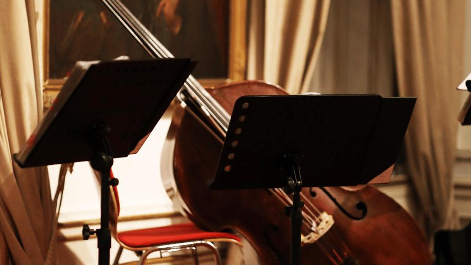 Best of Mozart & Strauss - Key Points You Should Know
