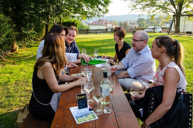 Countryside Half Day Wine Tour near Vienna - Key highlights at a glance
