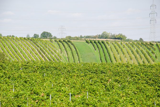 Countryside Half Day Wine Tour near Vienna - The meal: Austrian comfort food, served right at the right time