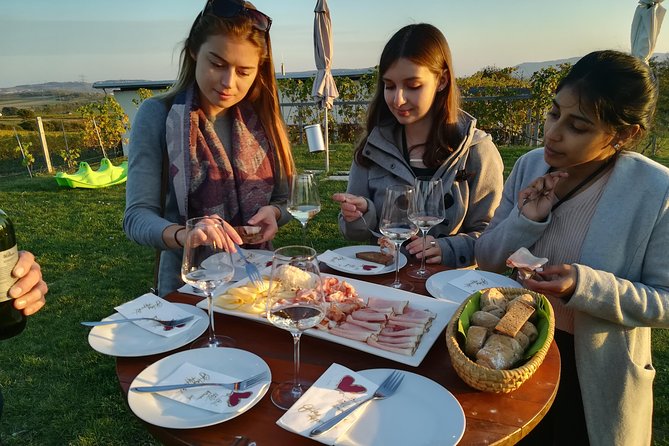 Countryside Half Day Wine Tour near Vienna - Who should book this Vienna countryside wine tour