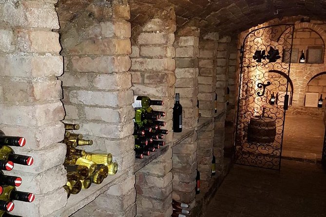 Countryside Half Day Wine Tour near Vienna - Winery stops: what “local winemakers” means in practice