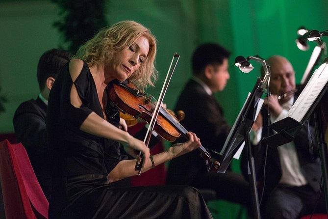 Exclusive Evening at Schönbrunn Palace: After-Hours Audiotour, Dinner, Concert - Who this evening is best for (and who should skip it)