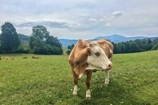 Exploring the Gutenstein Alps - Key moments you’ll remember