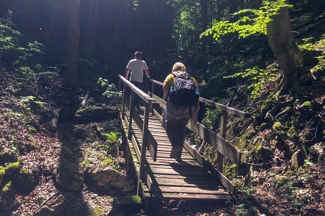 Exploring the Gutenstein Alps - Weather reality: how rain or heat can change the day