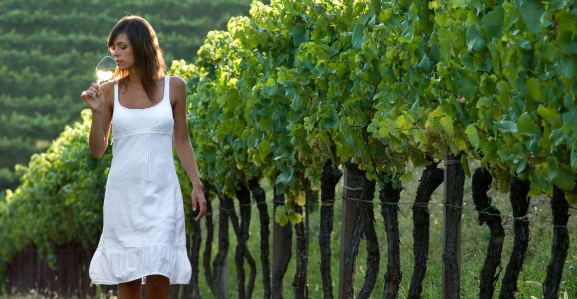 From Vienna: Half-day Countryside Wine Tour with Meal - Key highlights you’ll actually care about
