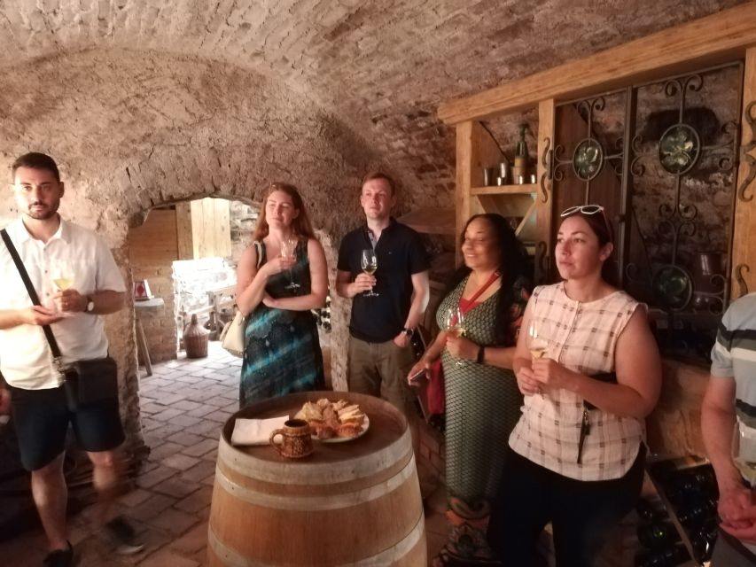 From Vienna: Half-day Countryside Wine Tour with Meal - Your guide and the small-group vibe (what to expect in practice)