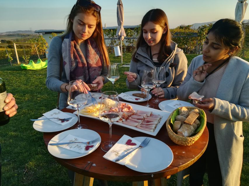 From Vienna: Half-day Countryside Wine Tour with Meal - Price and logistics: value, pickup zones, and what to bring