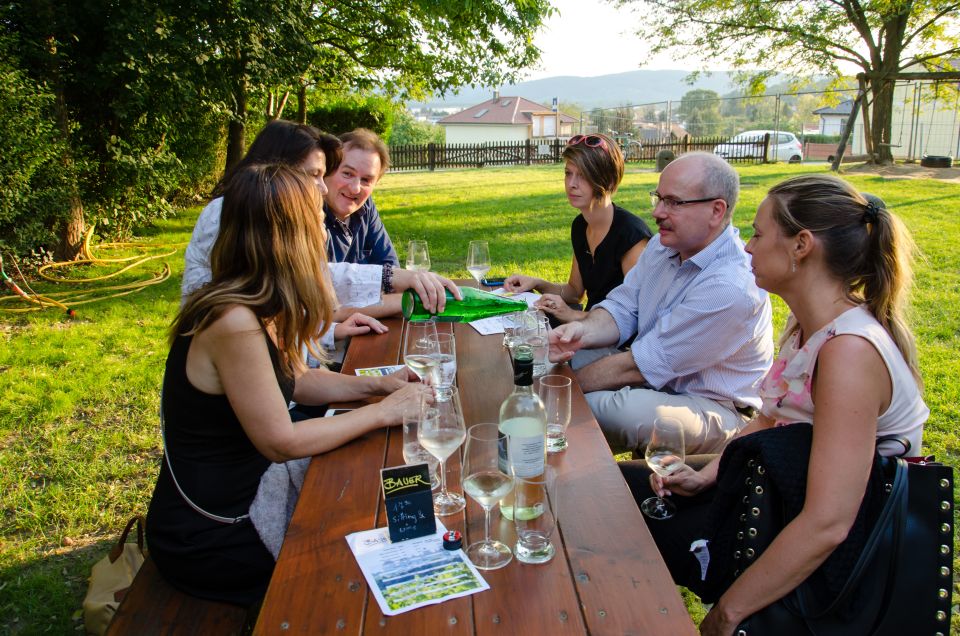 From Vienna: Half-day Countryside Wine Tour with Meal - Should you book this Vienna countryside wine tour?