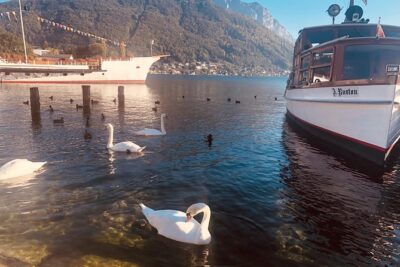 Fully private - SALZBURG, HALLSTATT & MELK ABBEY! - Pickup at 8:00 am: where most day trips win or lose