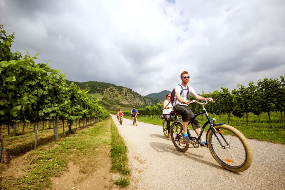 Grape Grazing: Wachau Valley Winery Biking Tour - Key things that make this Wachau Valley biking + wine day work