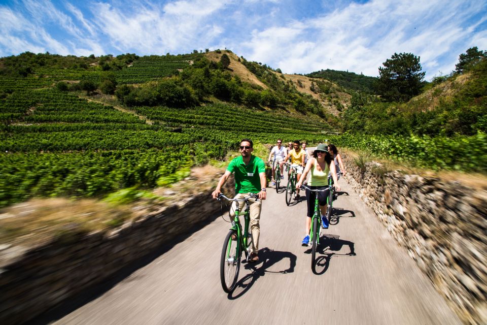 Grape Grazing: Wachau Valley Winery Biking Tour - Why the Wachau Valley Winery Biking Tour feels different from a typical day trip