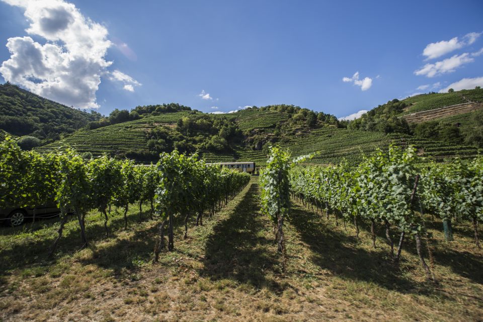 Grape Grazing: Wachau Valley Winery Biking Tour - Krems an der Donau to Dürnstein: wine tasting plus a real medieval detour