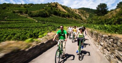 Grape Grazing: Wachau Valley Winery Biking Tour - From Vienna Explorer meeting point to Krems: the start that keeps you relaxed