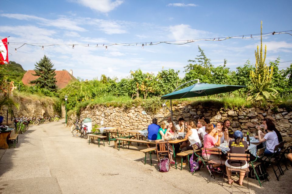 Grape Grazing: Wachau Valley Winery Biking Tour - Weißenkirchen and the Danube ferry: the route break that resets your energy