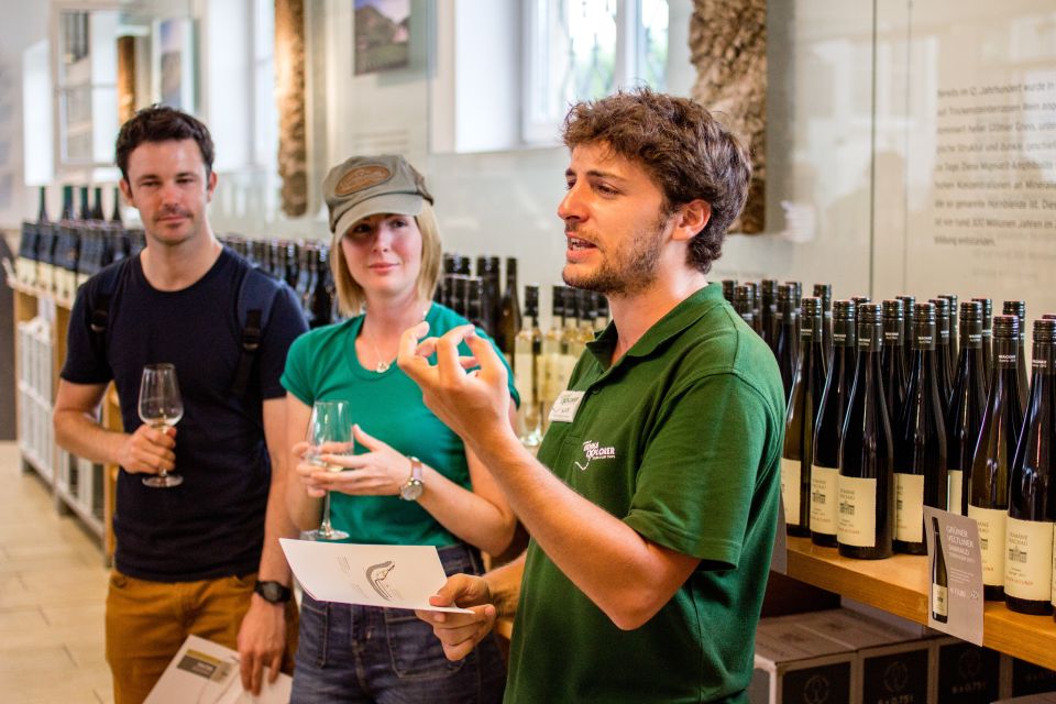 Grape Grazing: Wachau Valley Winery Biking Tour - Bikes, gear, comfort, and the small choices that help a lot