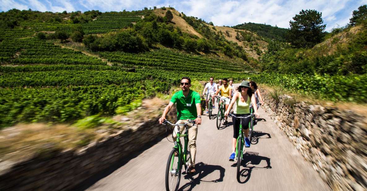 Grape Grazing: Wachau Valley Winery Biking Tour - From Vienna Explorer meeting point to Krems: the start that keeps you relaxed