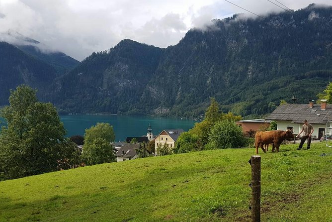 Hallstatt Small-Group Day Trip from Vienna - UNESCO Hallstatt: postcard beauty with real-life constraints