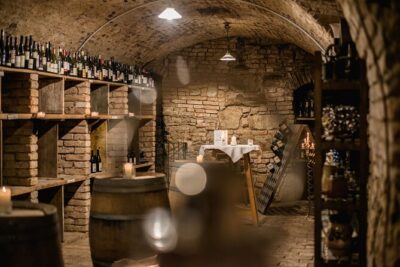 Hidden Wine Cellars Vienna - on the tracks of the Viennese wines - The walking tour flow: paced sightseeing with a cellar focus