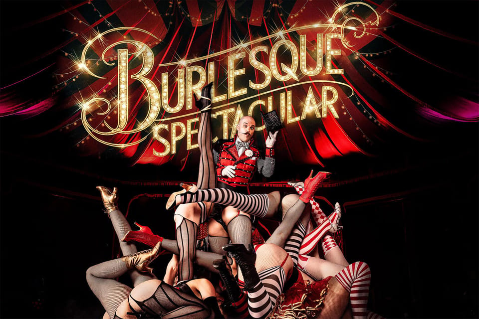Mirage Vienna: Burlesque Spectacular – Dinner Show - Key Things That Make Mirage Vienna Worth Your Time