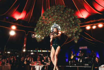 Mirage Vienna: Burlesque Spectacular – Dinner Show - How the Show Works: Three Acts, Four Courses, One MC in English