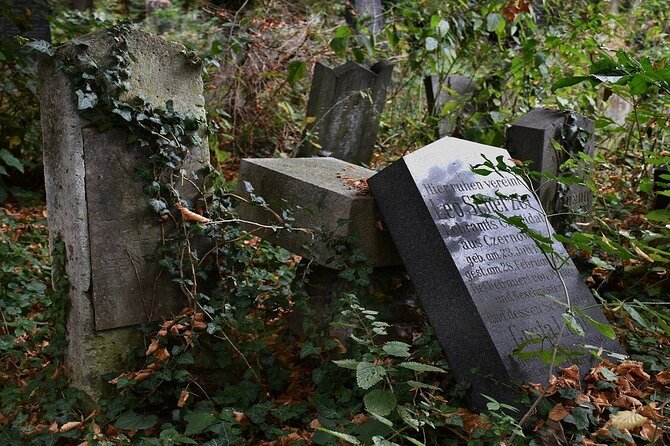 Mobile puzzle rally tour at the Vienna Central Cemetery - Key things to know before you start