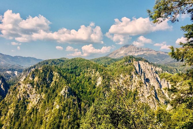 Ötschergräben Grand Canyon of Austria - Should you book it?