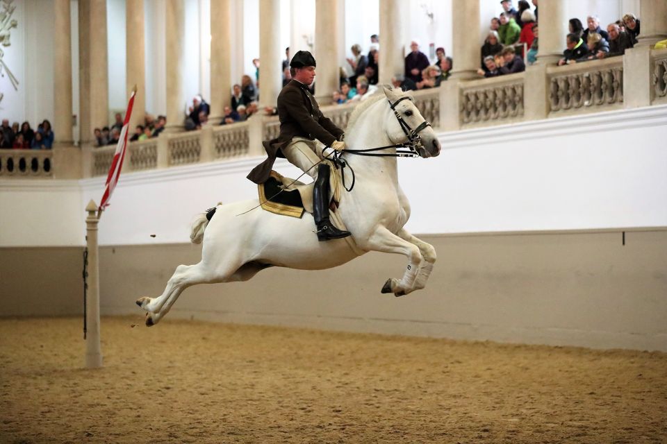 Performance Of The Lipizzans At Spanish Riding School - Why Vienna’s Winter Riding School feels different from a typical show