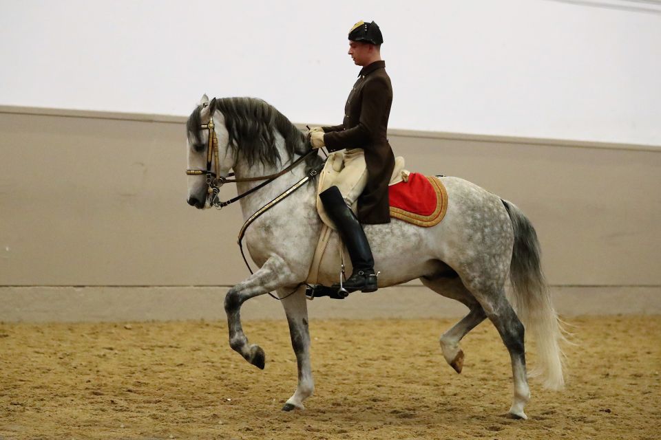 Performance Of The Lipizzans At Spanish Riding School - Getting there, finding the right place, and redeeming fast