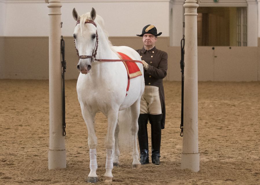 Performance Of The Lipizzans At Spanish Riding School - Value: what you’re really paying for