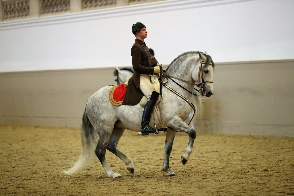 Performance Of The Lipizzans At Spanish Riding School - What you’ll actually see: the High School of Classical Horsemanship