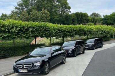 Prague private day tour from Vienna ( local guide ) - Prague Castle in About 30 Minutes: The Panorama Hit