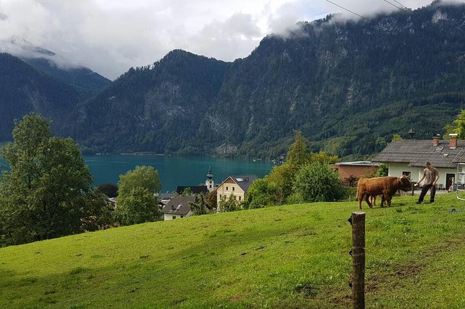 Private Day Trip from Vienna to Hallstatt - Hallstatt for 3.5 Hours: UNESCO Time with a Local Expert