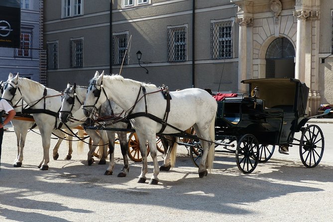 Private full day tour to Salzburg from Vienna with a local guide - Old Town free time for shopping and wandering