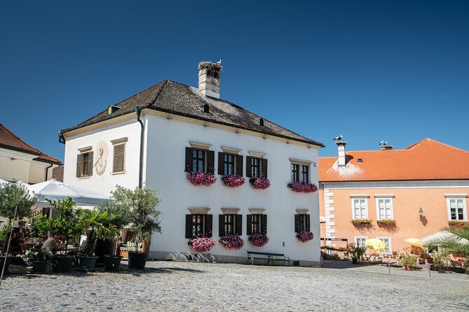 Private Guided Full Day Tour to charming Burgenland region with Wine tasting - Eisenstadt old town walk and the Esterhazy cake moment