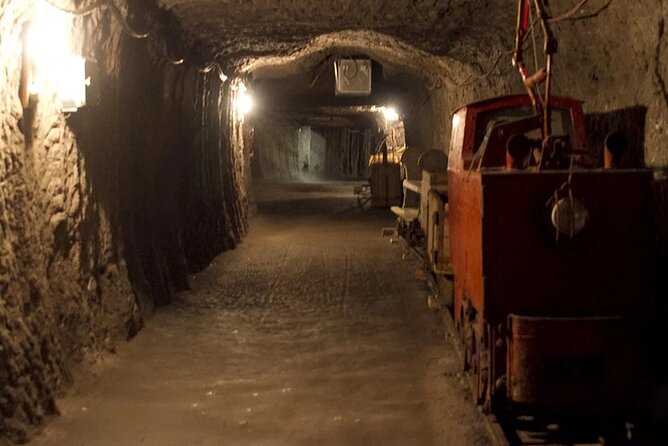 Private guided tour from Vienna to Hallstatt with Skywalk & Salt Mine Experience - Walking through Hallstatt for 2 hours: UNESCO streets with a real guide