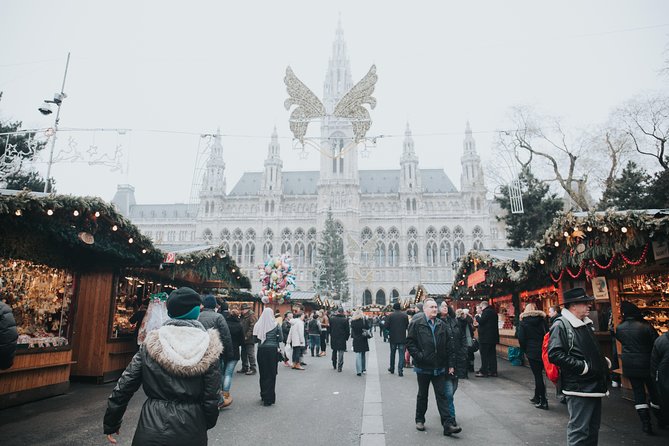 Private Introduction to Vienna Walking Tour - Old city walls, Ottoman sieges, and why Ringstrasse exists