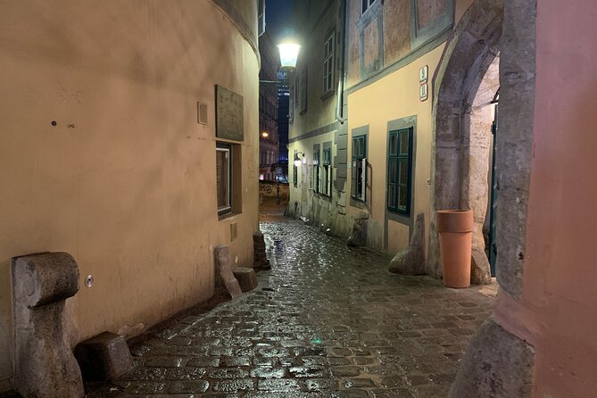 Private Spooky Vienna Ghost Tour - The plague trail: Plague Column, Blood Alley, and Augustin
