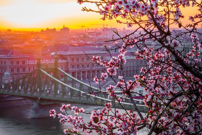 Private Transfer from Vienna to Budapest with 2 hours for sightseeing - Practical tips to get the most from your stop time