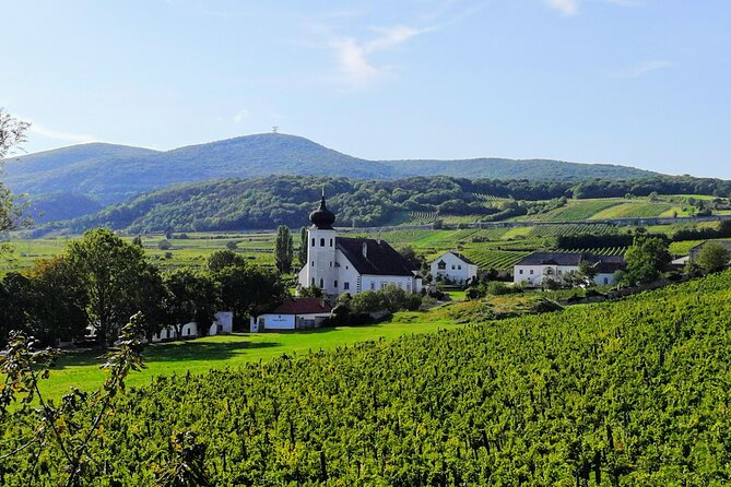 Private Vienna Woods Wine Tour - Stop 1 in Baden (summer): the hike, the viewpoint, and the open-air tasting